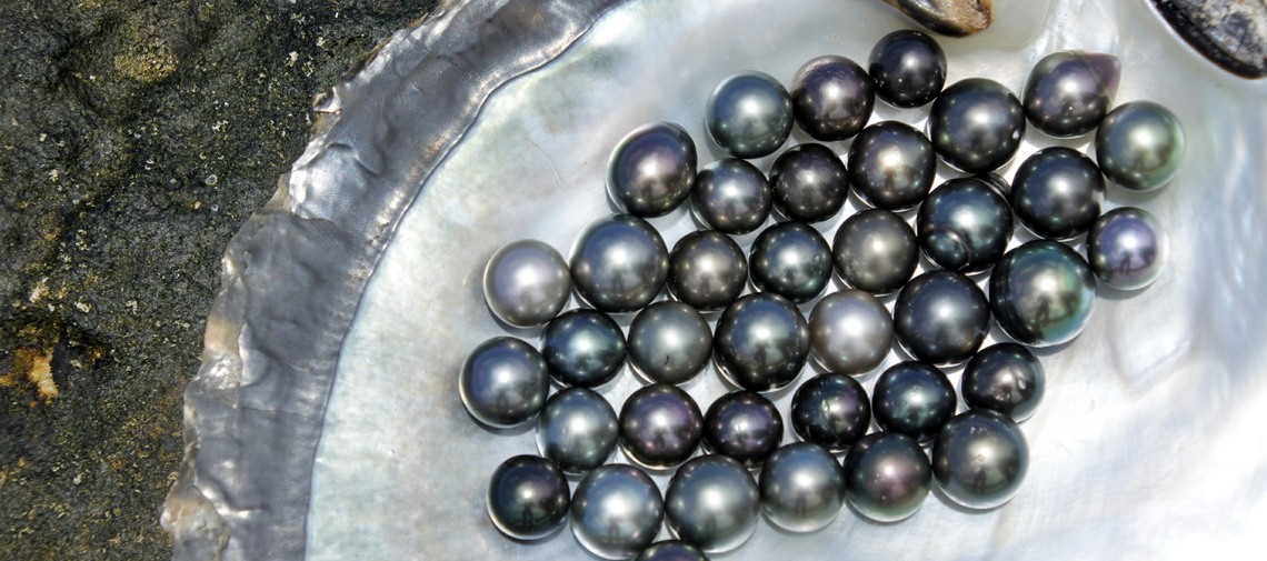 Introduction to Pearls & Pearl Stringing – Gemmological Association of ...
